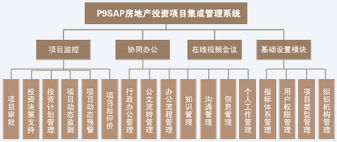 P9SAP房地产投资项目集成管理系统项目管理培训 赋能房产系统高效运营